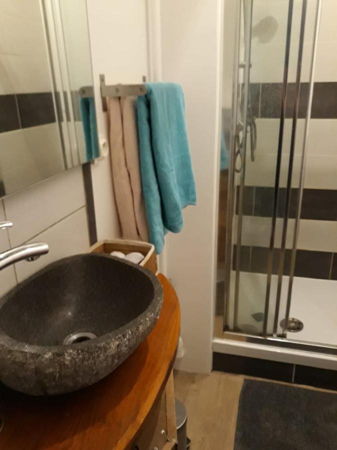 Le Langevin - Appartement Troyes Centre 外观 照片